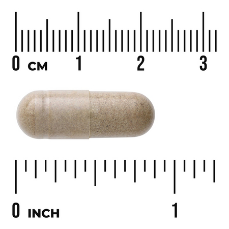 Swanson Echinacea Extract 60 kapsúl