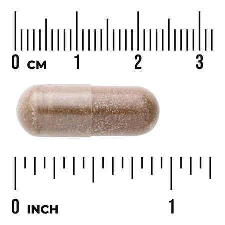 Swanson Kopřiva Indická (Coleus Forskohlii) 400 mg 60 kapsúl