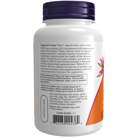 Now Foods Vitamin B-100 Complex 100 veg kapsúl