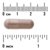Swanson Saw Palmetto 540 mg 100 kapslí