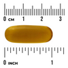 Swanson Avokádový Olej (Avocado Oil) 1000 mg 60 kapsúl