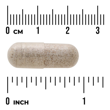Swanson Sea Cucumber 500 mg 100 kapsúl