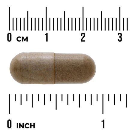Swanson Full Spectrum Gotu Kola 435 mg 60 kapsúl