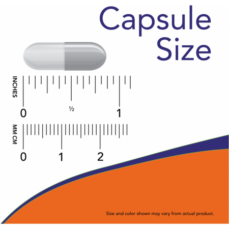 Now Foods Panax Ginseng 500 mg 100 kapsúl