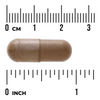 Swanson Full Spectrum Kudzu Root 500 mg 60 kapsúl