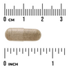 Swanson Bacopa Monnieri - 10:1 Extract 50 mg 90 kapsúl