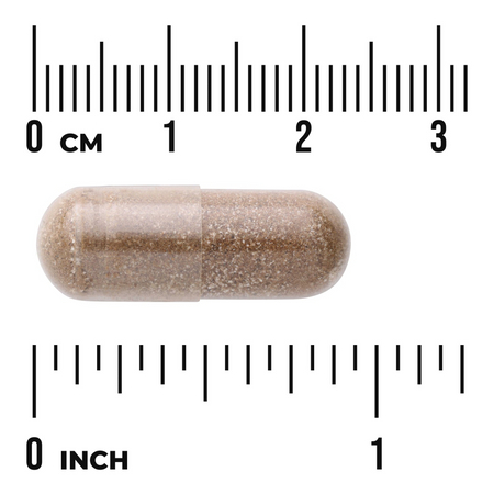 Swanson Kopřiva Indická (Coleus Forskohlii) 400 mg 60 kapsúl