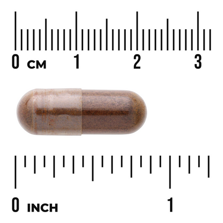 Swanson Rapid Immune Defense EPICOR 30 kapsúl