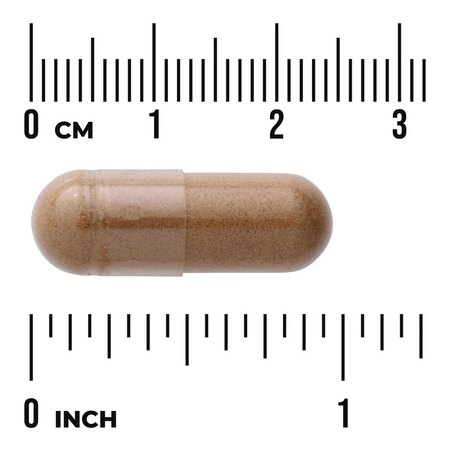 Swanson Full Spectrum Lion’s Mane Mushroom 500 mg 60 kapsúl