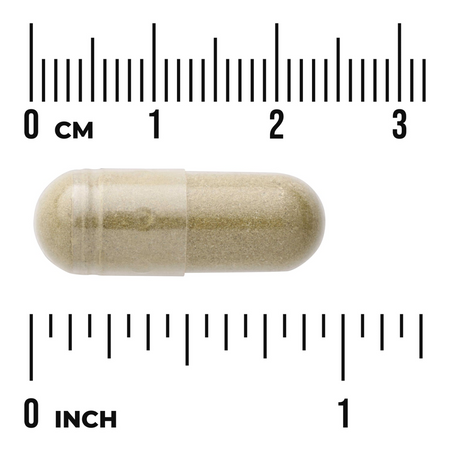 Swanson Full Spectrum Andrographis Paniculata 400 mg 60 kapsúl