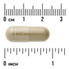 Swanson Full Spectrum Andrographis Paniculata 400 mg 60 kapsúl