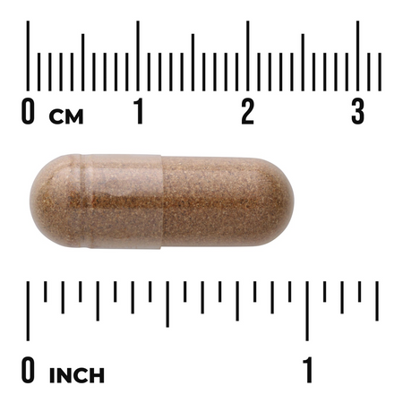 Swanson Cordyceps 600 mg 120 kapsúl
