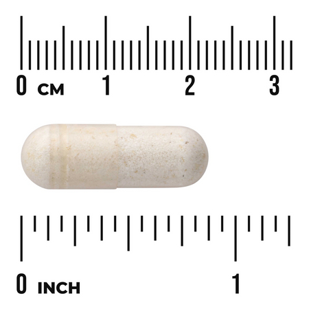 Swanson Probiotikum Dr. Stephen Langer's Ultimate 16 kmenů z FOS 60 kapsúl