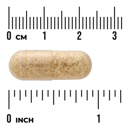 Swanson Pískavice Řecké Seno (Fenugreek) 610 mg 90 kapslí