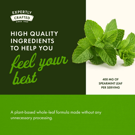 Swanson Full Spectrum Spearmint Leaf 400 mg 60 kapsúl