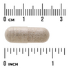 Swanson Sea Cucumber 500 mg 100 kapsúl