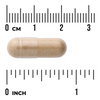 Swanson Astragalus (Kozinec) 470 mg 100 kapslí