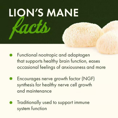 Swanson Full Spectrum Lion’s Mane Mushroom 500 mg 60 kapsúl