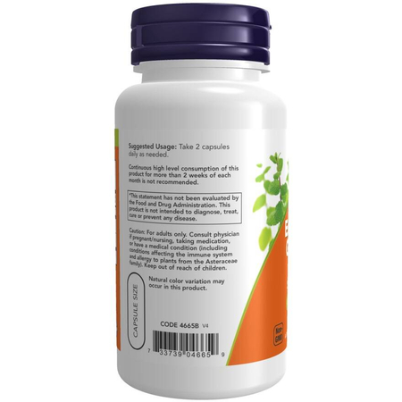 Now Foods Echinacea a Goldenseal Root 100 veg kapsúl