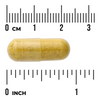 Swanson Berberine 400 mg 60 kapsúl